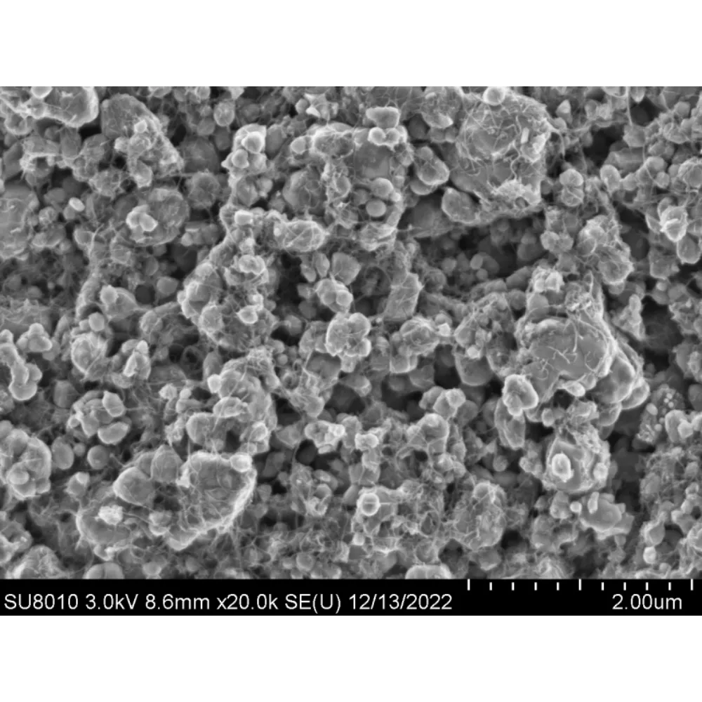 SEM-of-Dispersion-of-carbon-nanotubes-in-cathode-materials-20K