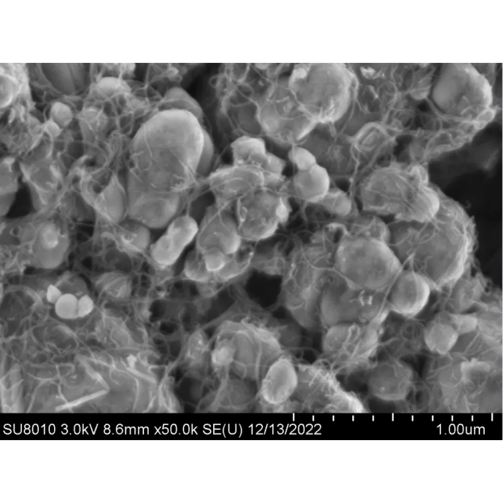 SEM-of-Dispersion-of-carbon-nanotubes-in-cathode-materials-50K