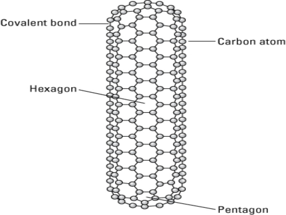 Carbon-Nanotubes-Conductivity-A-Technological-Revolution