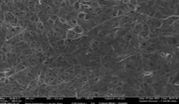 Carbon Nanoparticles