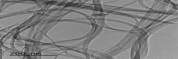 High purity single-walled carbon nanotubes