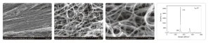 single walled carbon nanotubes