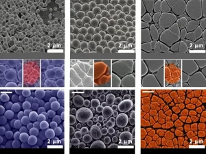 silicon based negative electrodes