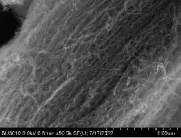 double walled carbon nanotubes